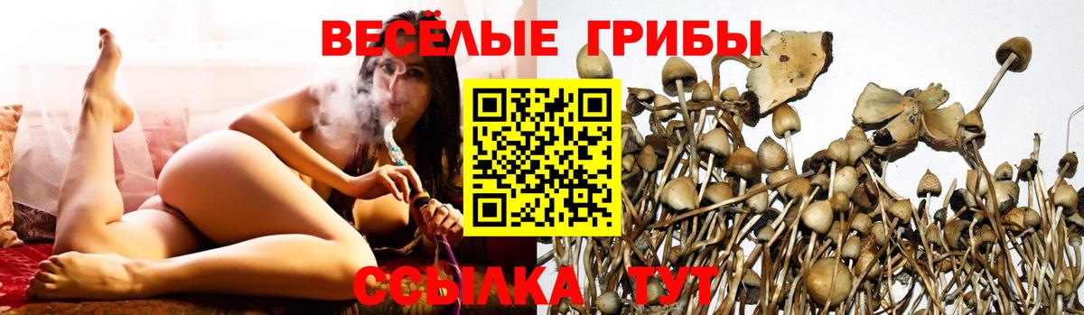 Галлюциногенные грибы GOLDEN TEACHER Тамбов