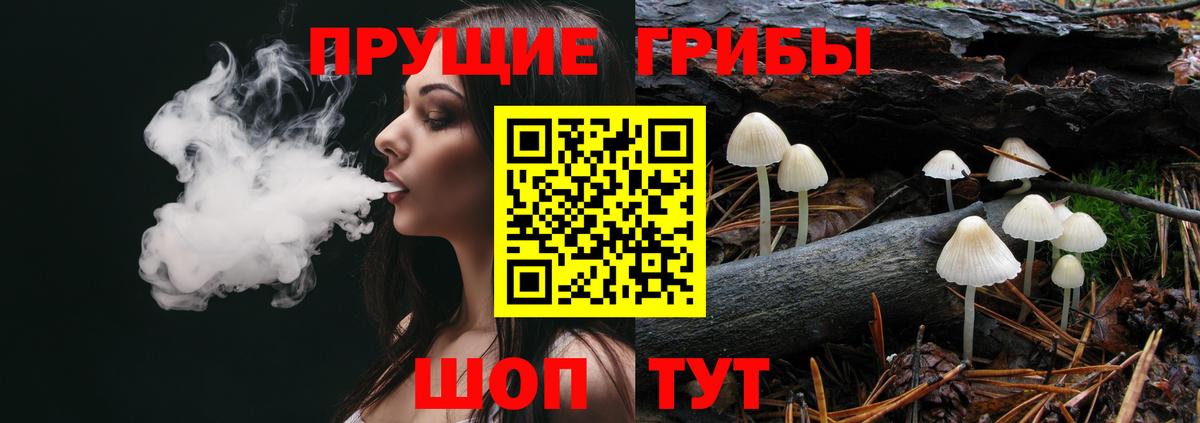 Тамбов  Псилоцибиновые грибы прущие грибы  Вход с VPN 